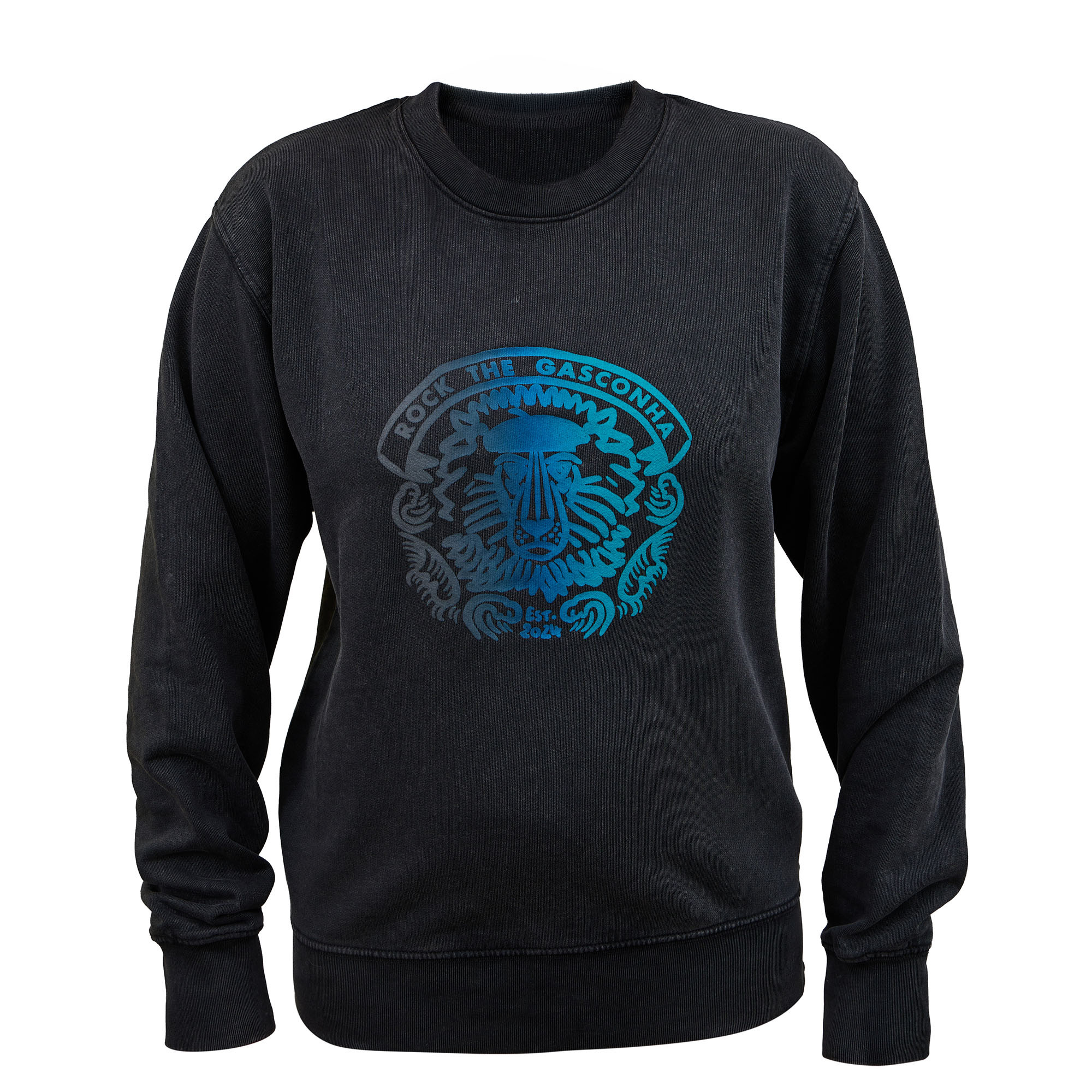 Sweat-shirt Lion anthracite